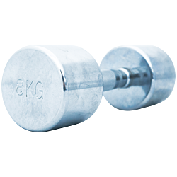 TITAN LIFE PRO Chrome Dumbbell 8kg 