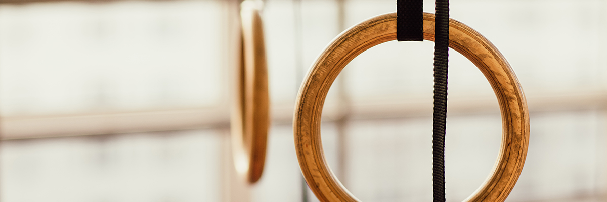 Gym Rings